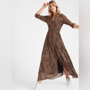 Banana Republic Leopard Print Long Sleeve Dress